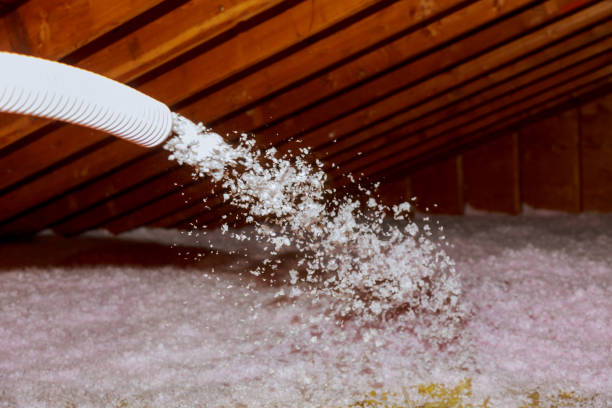 Best Eco-Friendly Insulation in Sacramento, CA