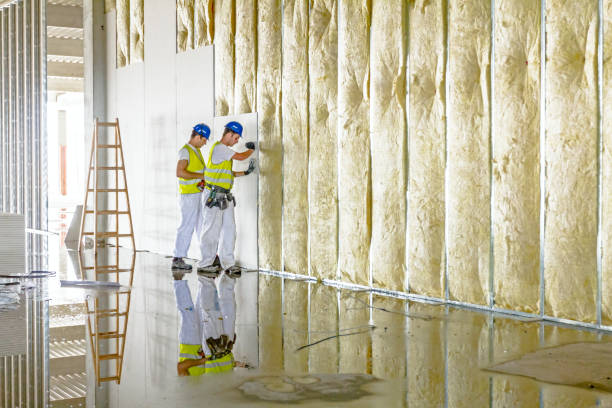 Best Geographic-Specific Insulation Services in Sacramento, CA